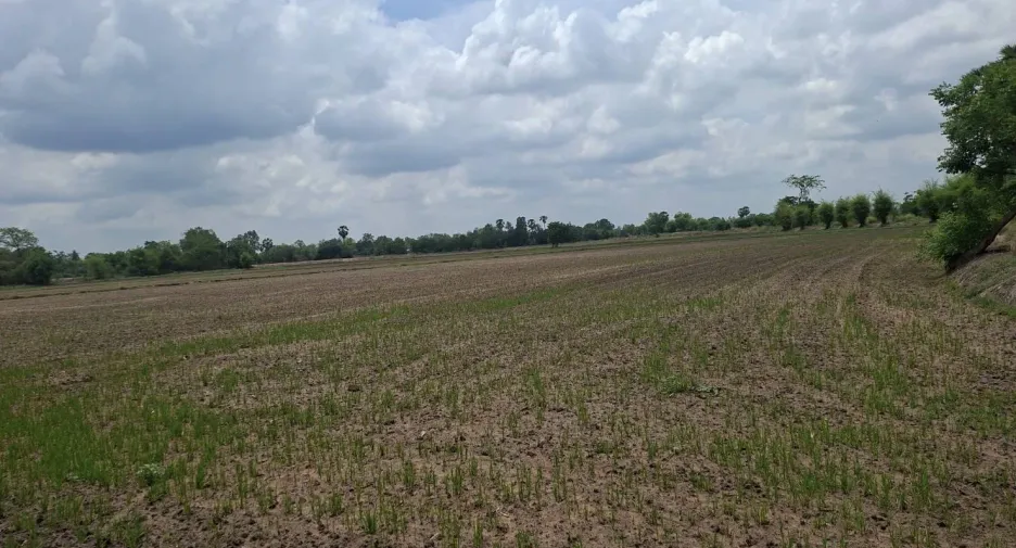 For sale land in Nong Khayang, Uthai Thani