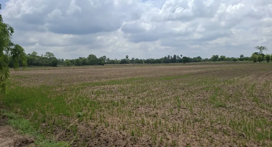 For sale land in Nong Khayang, Uthai Thani