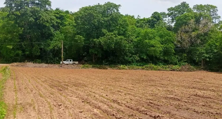 For sale land in Chaloem Phra Kiat, Saraburi