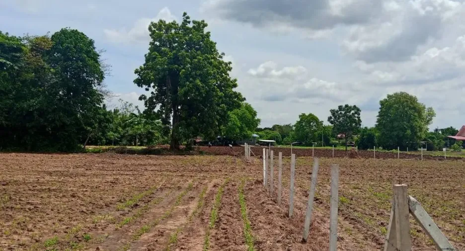 For sale land in Chaloem Phra Kiat, Saraburi