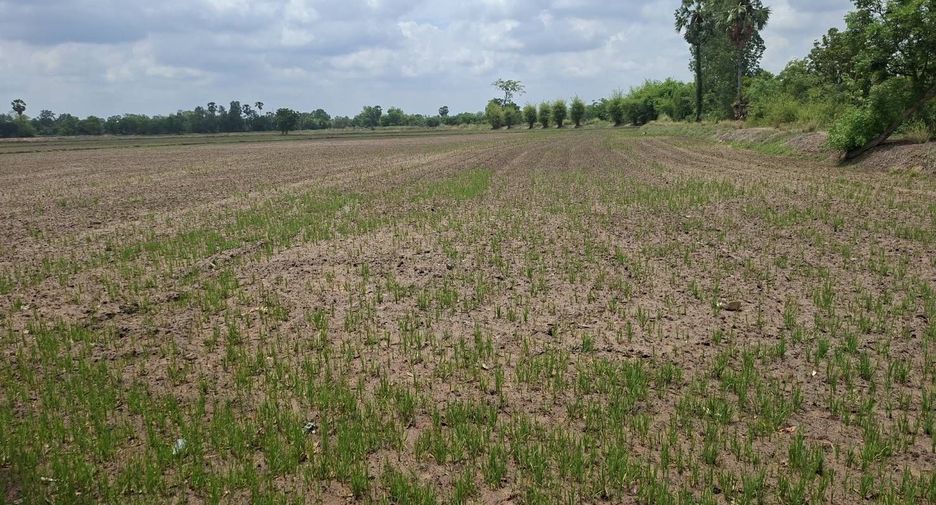 For sale land in Nong Khayang, Uthai Thani