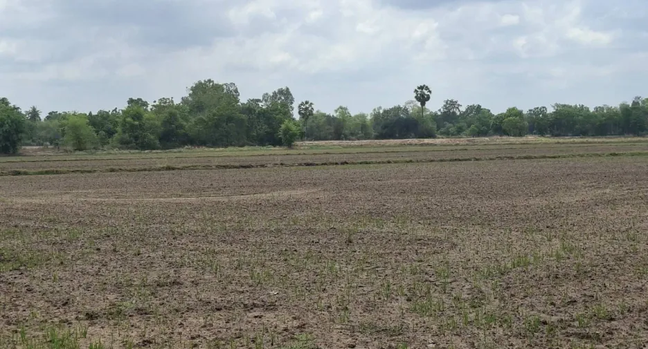 For sale land in Nong Khayang, Uthai Thani