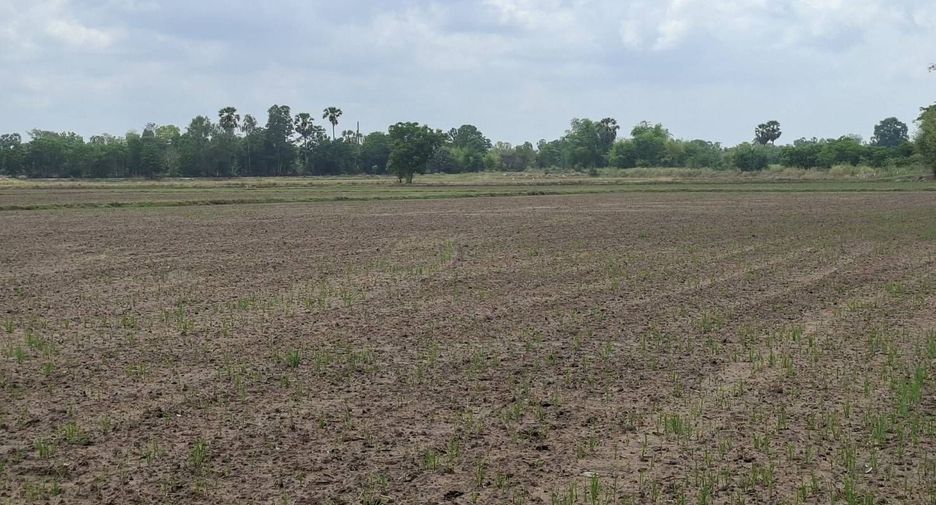 For sale land in Nong Khayang, Uthai Thani