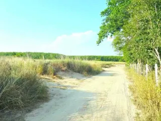 ขาย ที่ดิน ใน นิคมพัฒนา, ระยอง