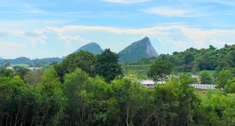 For sale land in Sattahip, Chonburi