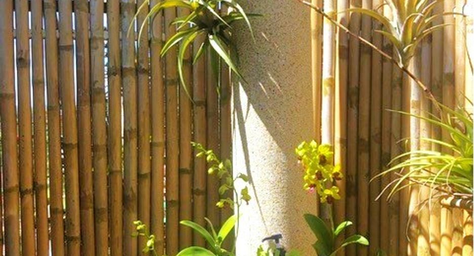 For sale 3 bedrooms house in Takua Pa, Phang Nga