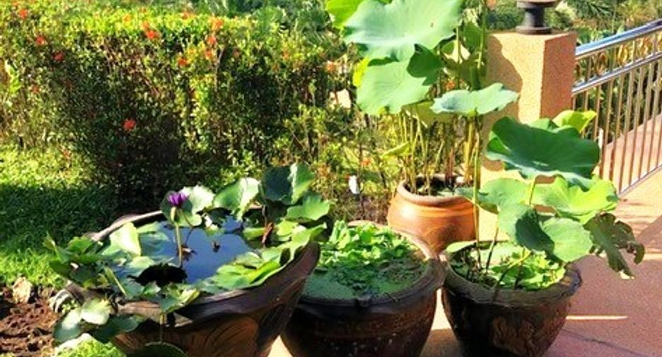 For sale 3 bedrooms house in Takua Pa, Phang Nga