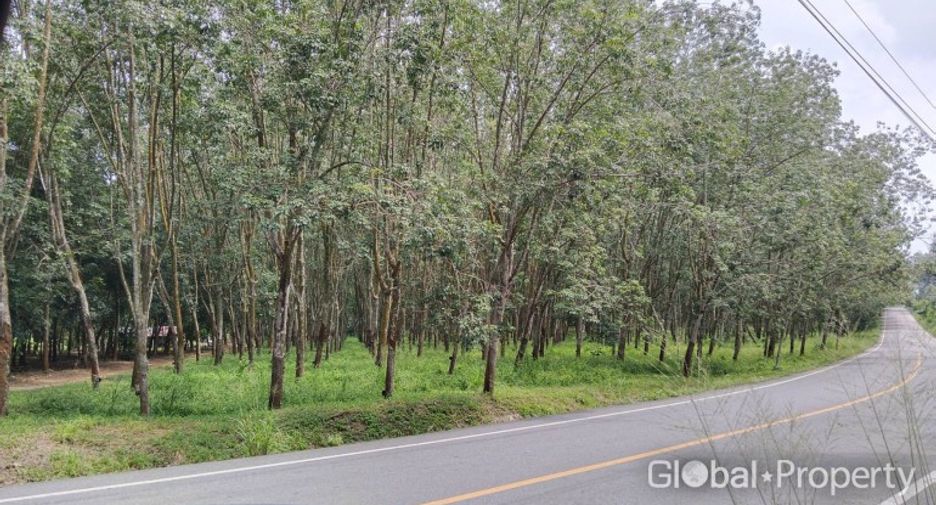 For sale land in Si Racha, Chonburi