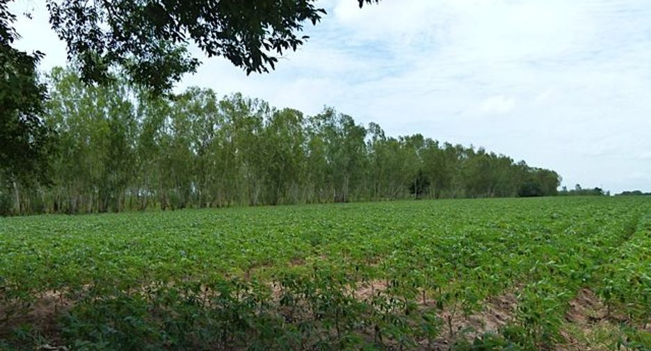 For sale land in East Pattaya, Pattaya