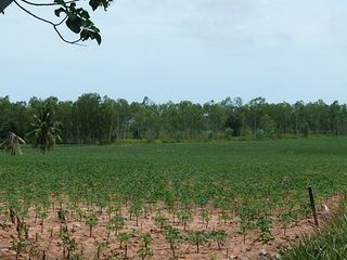 For sale land in Bang Lamung, Chonburi