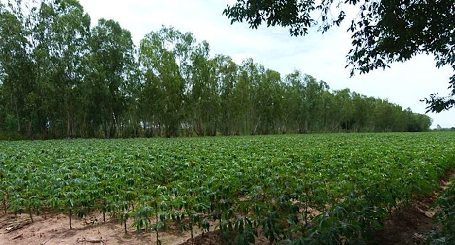 For sale land in East Pattaya, Pattaya