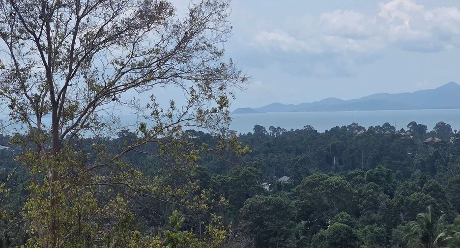 Grundstück zum Kauf in Ko Samui, Surat Thani
