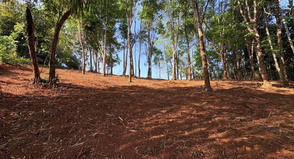 Terreno en venta en Thalang, Phuket