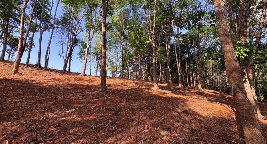 Terreno en venta en Thalang, Phuket