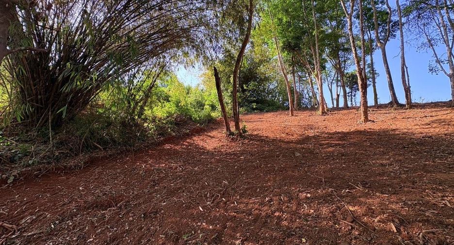 Terreno en venta en Thalang, Phuket