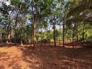 For sale land in Thalang, Phuket