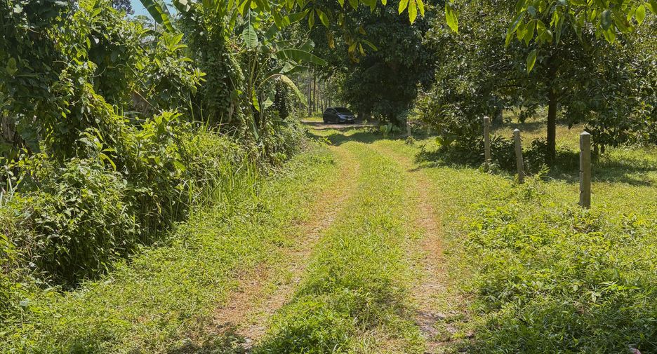 Terreno en venta en Thalang, Phuket