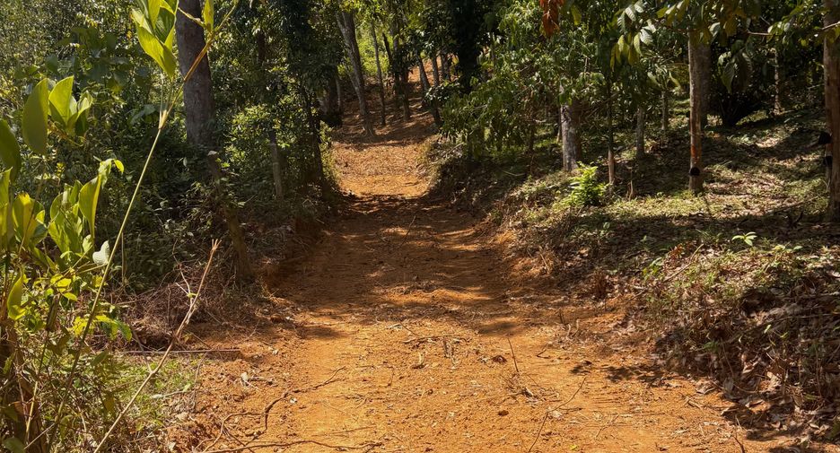 Terreno en venta en Thalang, Phuket