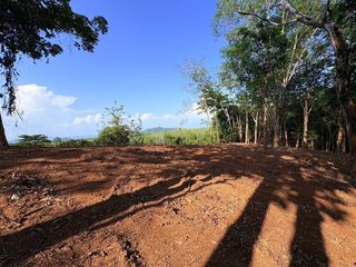 For sale land in Thalang, Phuket