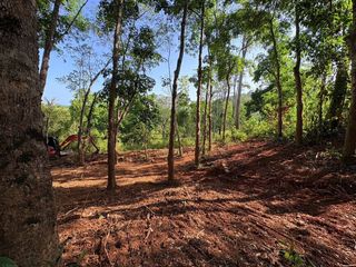 For sale land in Thalang, Phuket