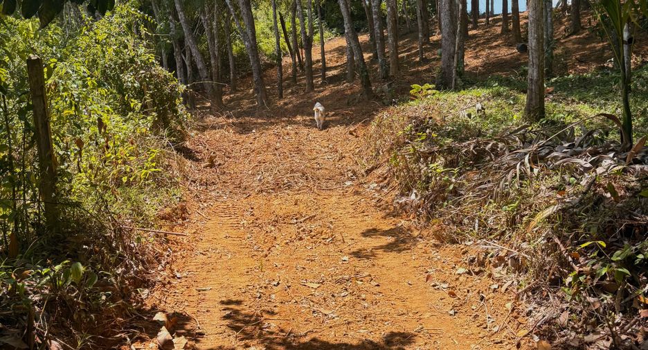 Terreno en venta en Thalang, Phuket