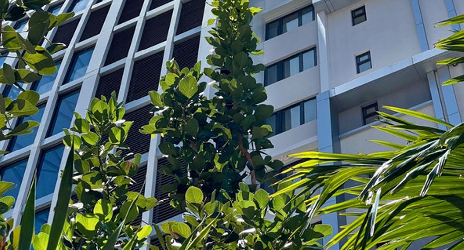 For sale 1 bed condo in Pratumnak, Pattaya