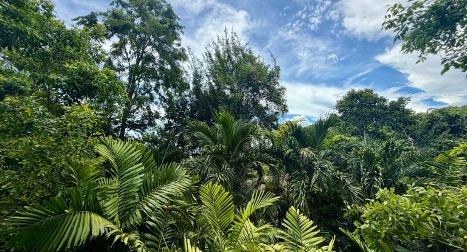 For sale 2 bedrooms condo in North Pattaya, Pattaya
