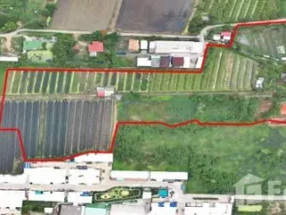 ขาย ที่ดิน ใน กระทุ่มแบน, สมุทรสาคร