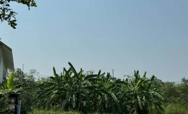 For sale land in Sam Phran, Nakhon Pathom