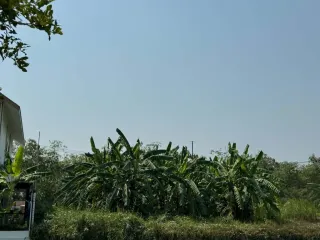 For sale land in Sam Phran, Nakhon Pathom