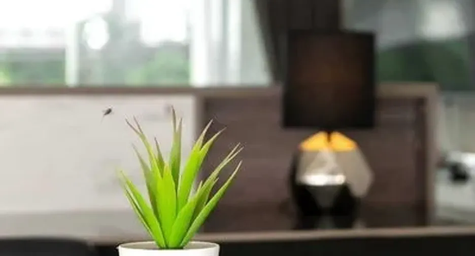 Local comercial en venta de 4 habitaciones en Suan Luang, Bangkok