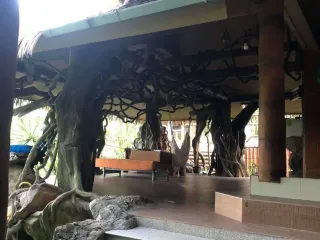 For rent 3 bedrooms house in Mueang Chiang Mai, Chiang Mai