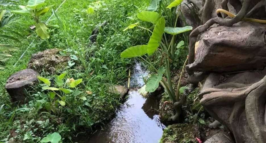 For rent 3 bedrooms house in Mueang Chiang Mai, Chiang Mai
