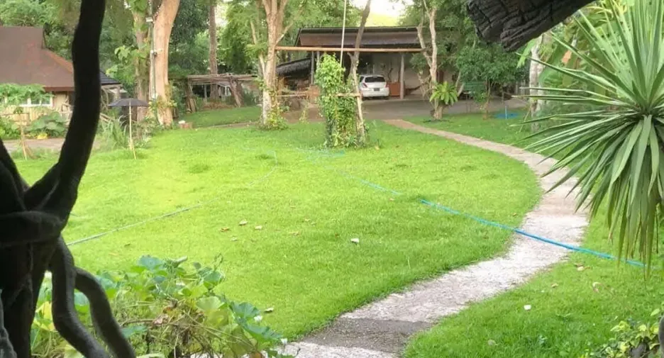 For rent 3 bedrooms house in Mueang Chiang Mai, Chiang Mai