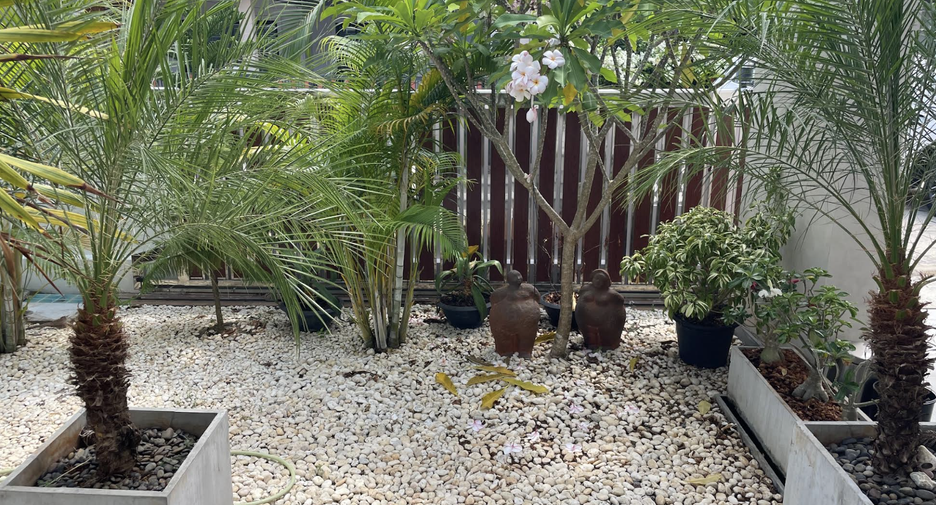 For sale and for rent 3 bedrooms villa in Takua Thung, Phang Nga