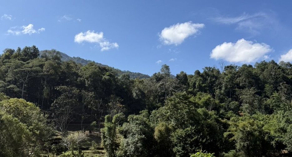 For rent 2 bedrooms house in Mae Rim, Chiang Mai