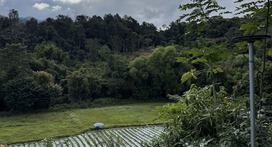 For rent 2 bedrooms house in Mae Rim, Chiang Mai