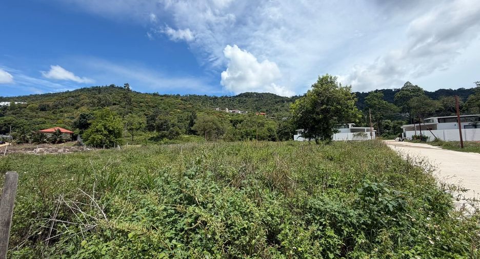 For sale land in Ko Samui, Surat Thani