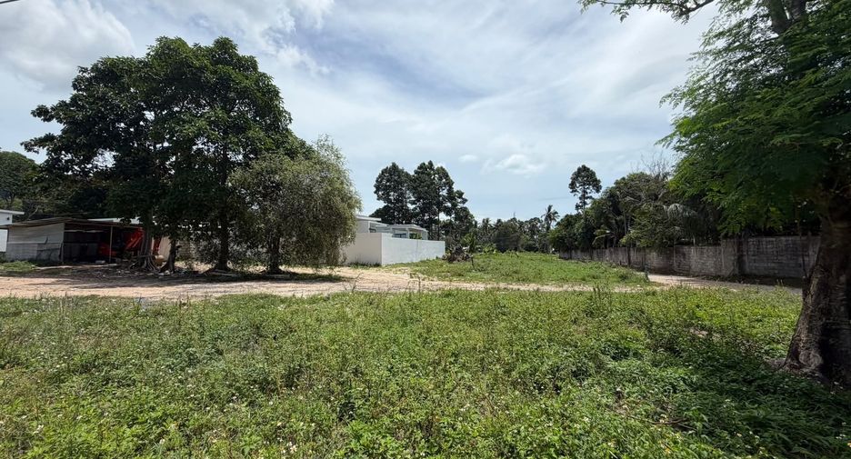 For sale land in Ko Samui, Surat Thani