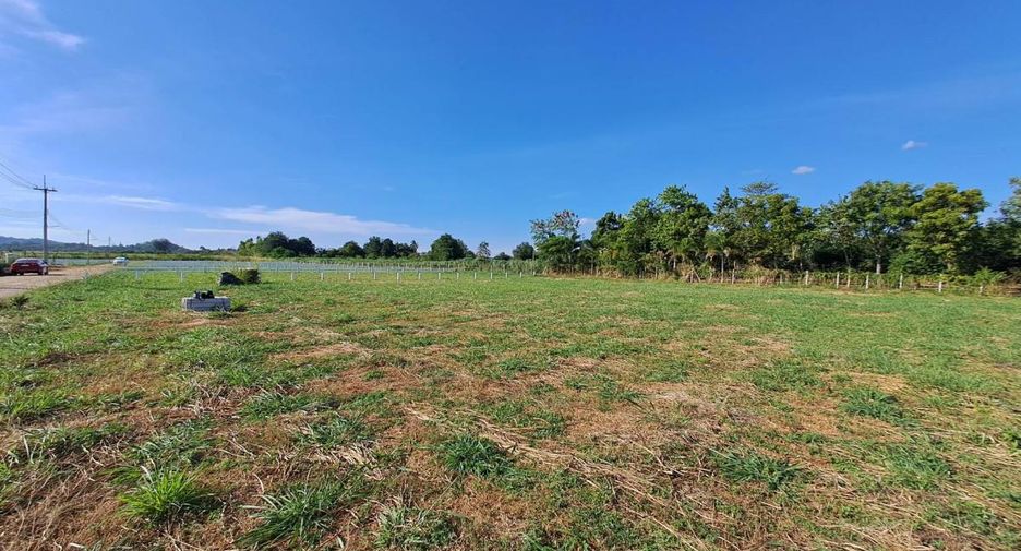 For sale land in Pak Chong, Nakhon Ratchasima