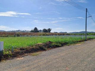 For sale land in Pak Chong, Nakhon Ratchasima