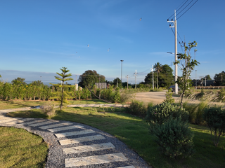 For sale land in Pak Chong, Nakhon Ratchasima