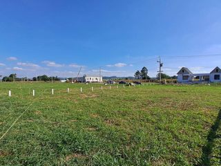 For sale land in Pak Chong, Nakhon Ratchasima