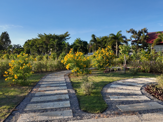 For sale land in Pak Chong, Nakhon Ratchasima