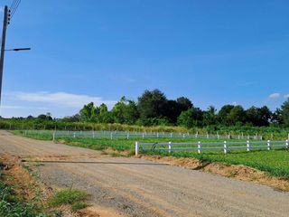 For sale land in Pak Chong, Nakhon Ratchasima