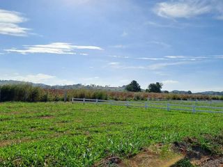 For sale land in Pak Chong, Nakhon Ratchasima