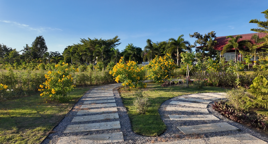 For sale land in Pak Chong, Nakhon Ratchasima