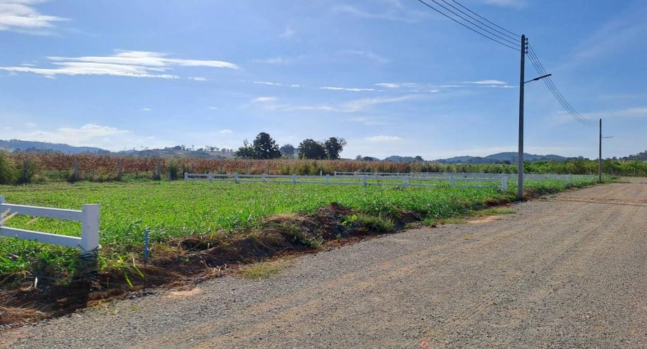 For sale land in Pak Chong, Nakhon Ratchasima