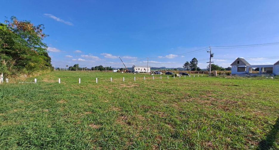 For sale land in Pak Chong, Nakhon Ratchasima
