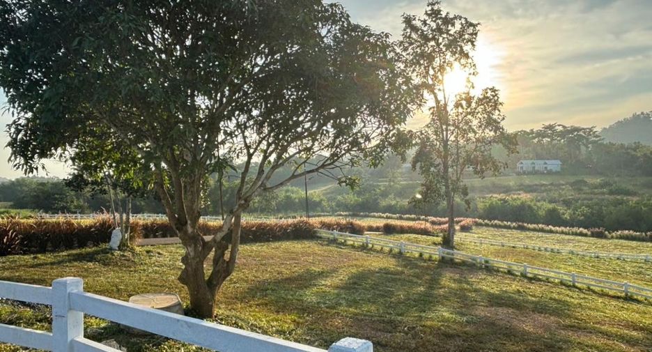 For sale land in Pak Chong, Nakhon Ratchasima